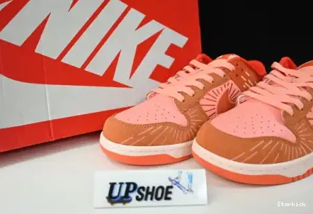 Low Nike (W) Winter Solstice NH Dunk DO6723-800 0503